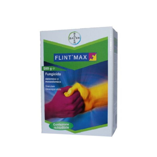 Flint Max